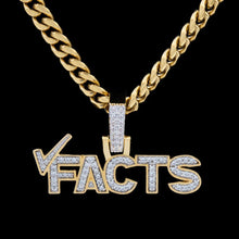 Load image into Gallery viewer, Facts Pendant
